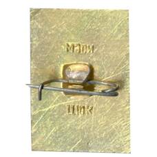 Значок Кострома (вид 2)