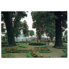 Открытка Петродворец — Дворец Монплезир. Фотограф В.П.Мельников