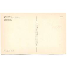 Открытка Архангельское — вьездная аллея (вид 2)