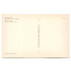 Открытка Архангельское — Дворец.Овальный зал (вид 2)