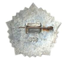 Значок ГТО — IV ступень (вид 2)