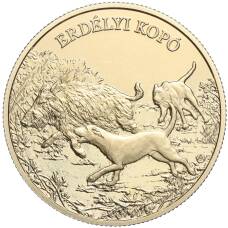 Монета 3000 форинтов 2023 года Венгрия «Трансильванская гончая» (аверс)