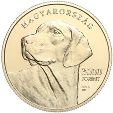 Монета 3000 форинтов 2023 года Венгрия «Трансильванская гончая» (реверс)