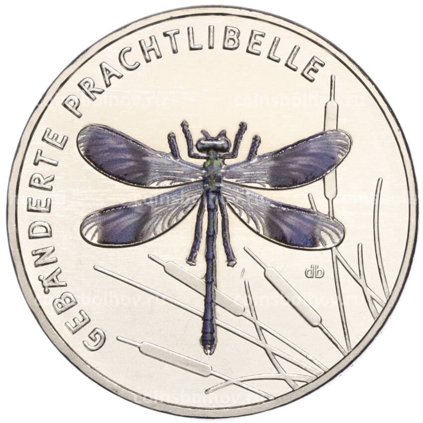 Монета 5 евро 2023 года J Германия «Чудесный мир насекомых — Полосатая красавка»