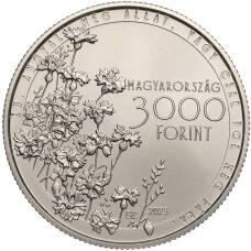 Монета 3000 форинтов 2023 года Венгрия «Михай Чоконаи Витез» (реверс)
