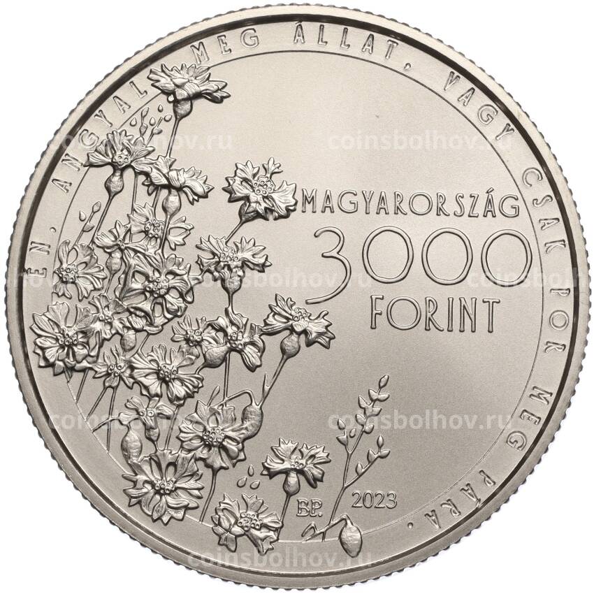 Монета 3000 форинтов 2023 года Венгрия «Михай Чоконаи Витез» (вид 2)