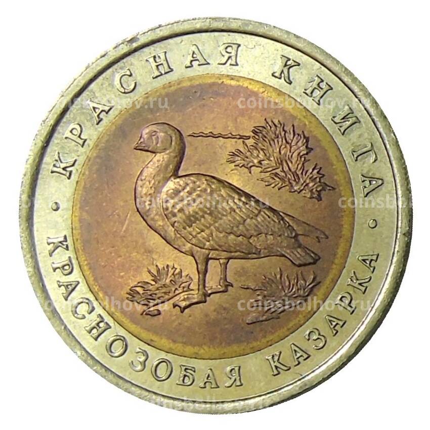 Монета 10 рублей 1992 года ЛМД Красная книга — Краснозобая казарка
