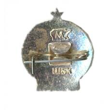 Значок Турист СССР (вид 2)