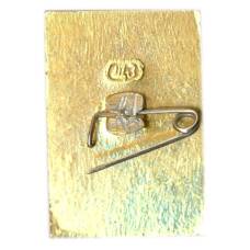 Значок Новороссийск (вид 2)