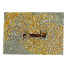 Значок Владимир (вид 2)