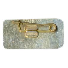 Значок Сочи (вид 2)