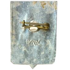 Значок Боровичи (вид 2)