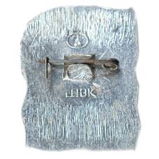 Значок Боголюбово (вид 2)