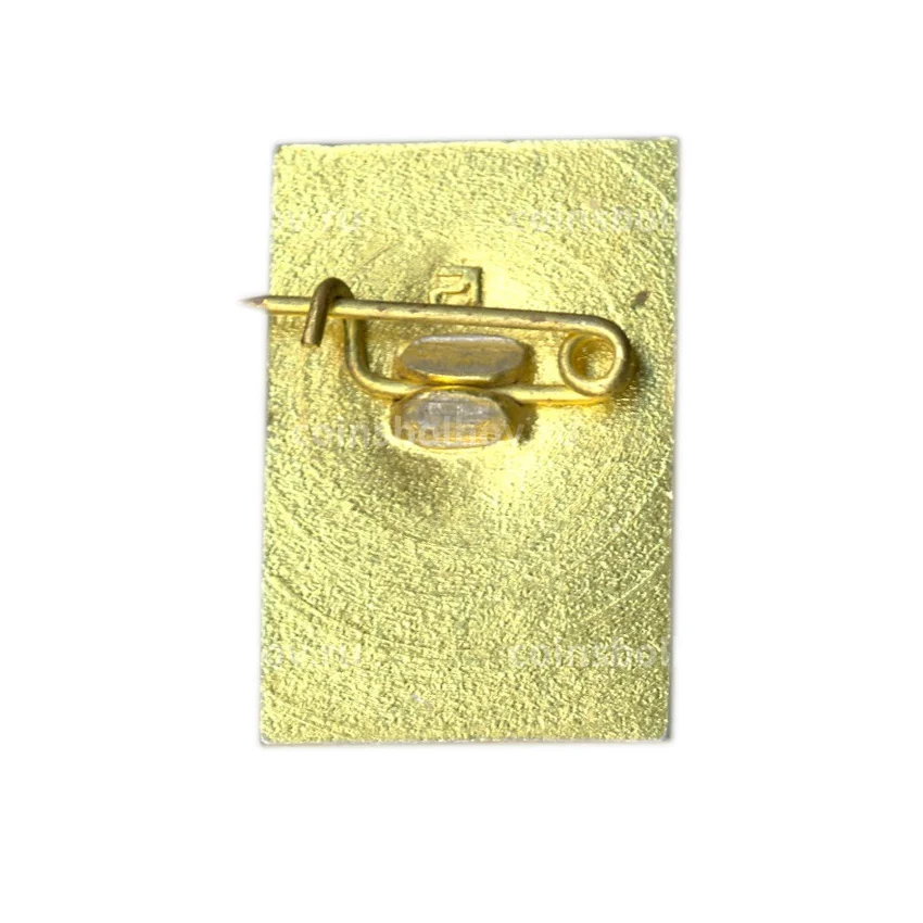 Значок Петродворец (вид 2)