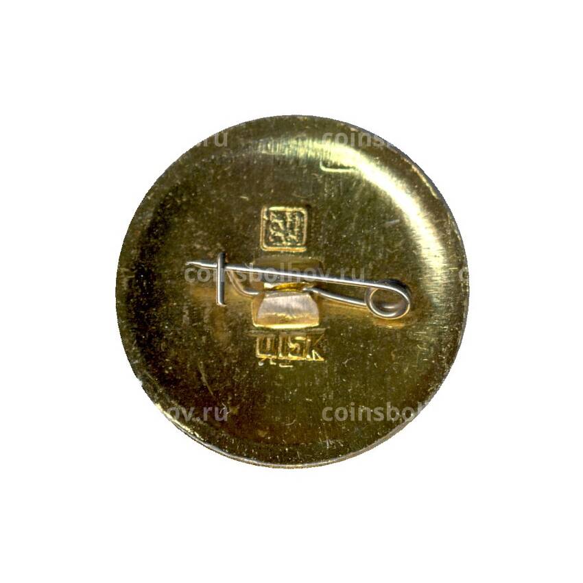 Значок Александров — Золотое кольцо (вид 2)