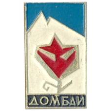 Значок Домбаи
