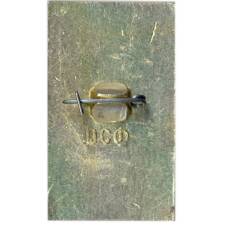 Значок Домбаи (вид 2)