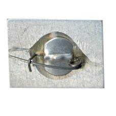 Значок Н.А. Некрасов  — 150 лет (вид 2)