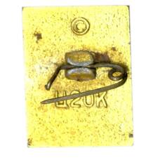 Значок АюС.Грин (вид 2)