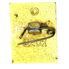 Значок АюС.Грин (вид 2)