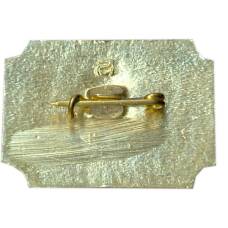 Значок Санкт-Петербург — дворец -музей А.Д.Меншикова (вид 2)