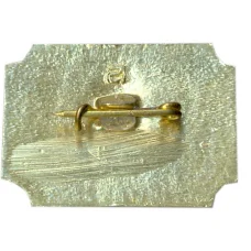 Значок Санкт-Петербург — дворец -музей А.Д.Меншикова (вид 2)