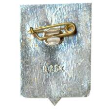 Значок Демянск (вид 2)