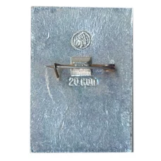 Значок Борисоглебск (вид 2)