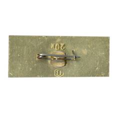 Значок Новгород (вид 2)