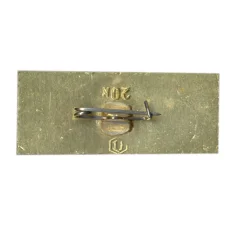 Значок Новгород (вид 2)