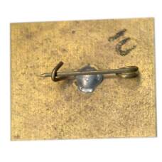 Значок  Кисловодск (вид 2)