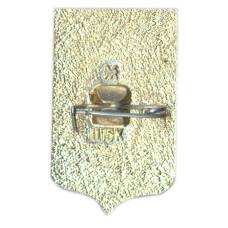 Значок Вологда (вид 2)