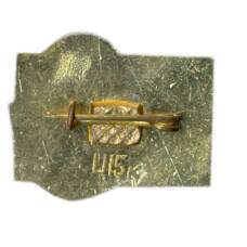 Значок Леся Украинка -100 лет (вид 2)