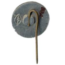 Значок Тракайский замок (вид 2)