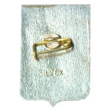 Значок Боровичи (вид 2)