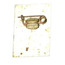 Значок Теберда (вид 2)