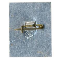 Значок В.Белинский (вид 2)