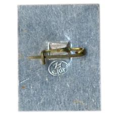 Значок В.Белинский (вид 2)