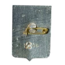 Значок Новгород (вид 2)