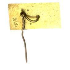 Значок Паланга (вид 2)