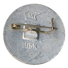 Значок Волгоград (вид 2)