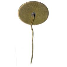 Значок Девня (Болгария) (вид 2)