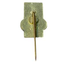 Значок Вильнюс (вид 2)