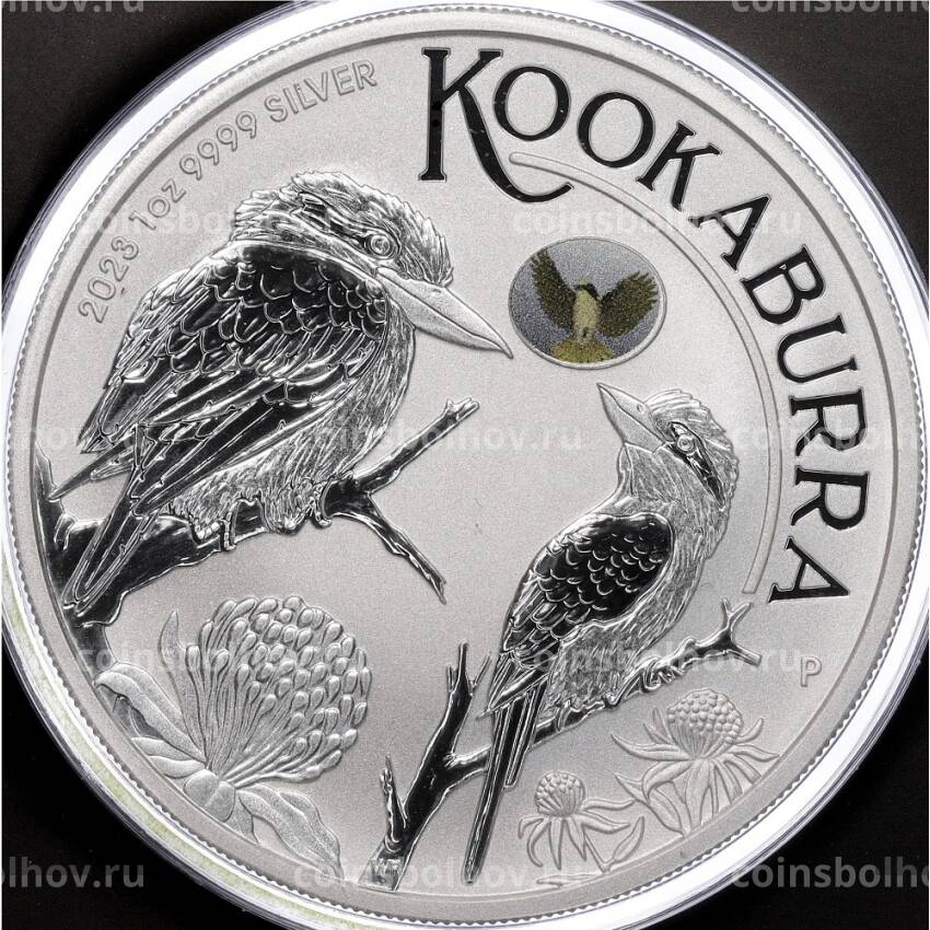 Монета 1 доллар 2023 года Австралия «Австралийская кукабарра» (Цветное покрытие, в блистере)