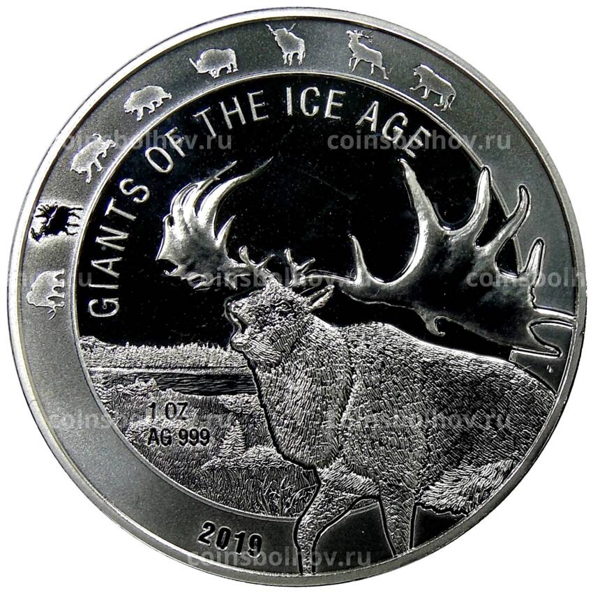 Монета 5 седи 2019 года Гана — Гиганты Ледникового периода — Гигантский олень
