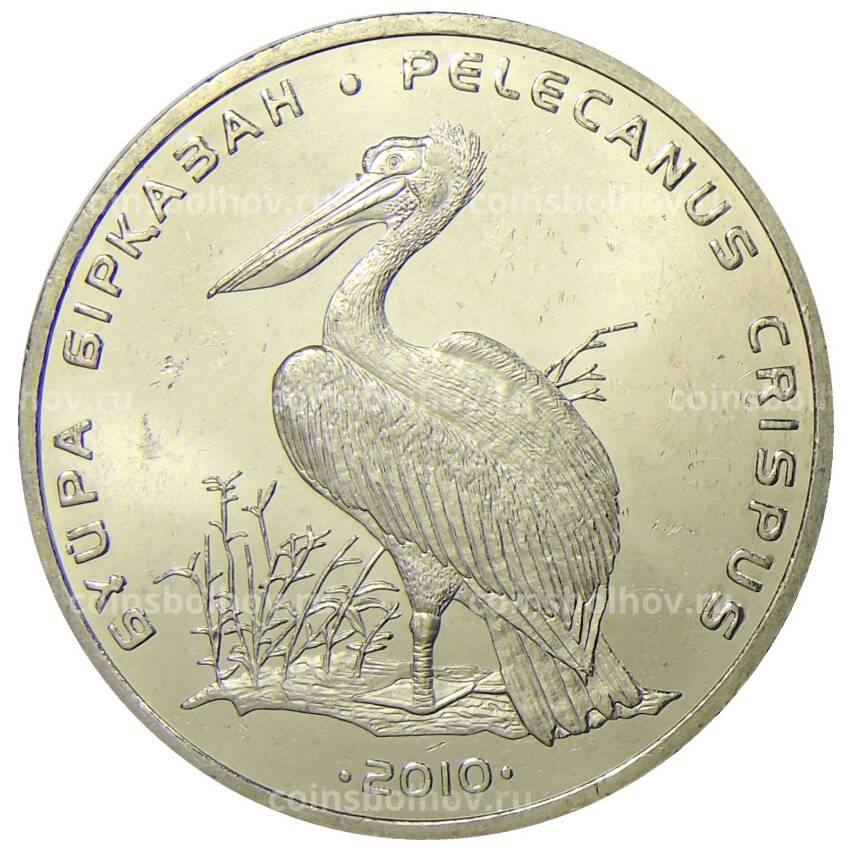 Монета 50 тенге 2010 года Казахстан Красная книга — Кудрявый пеликан