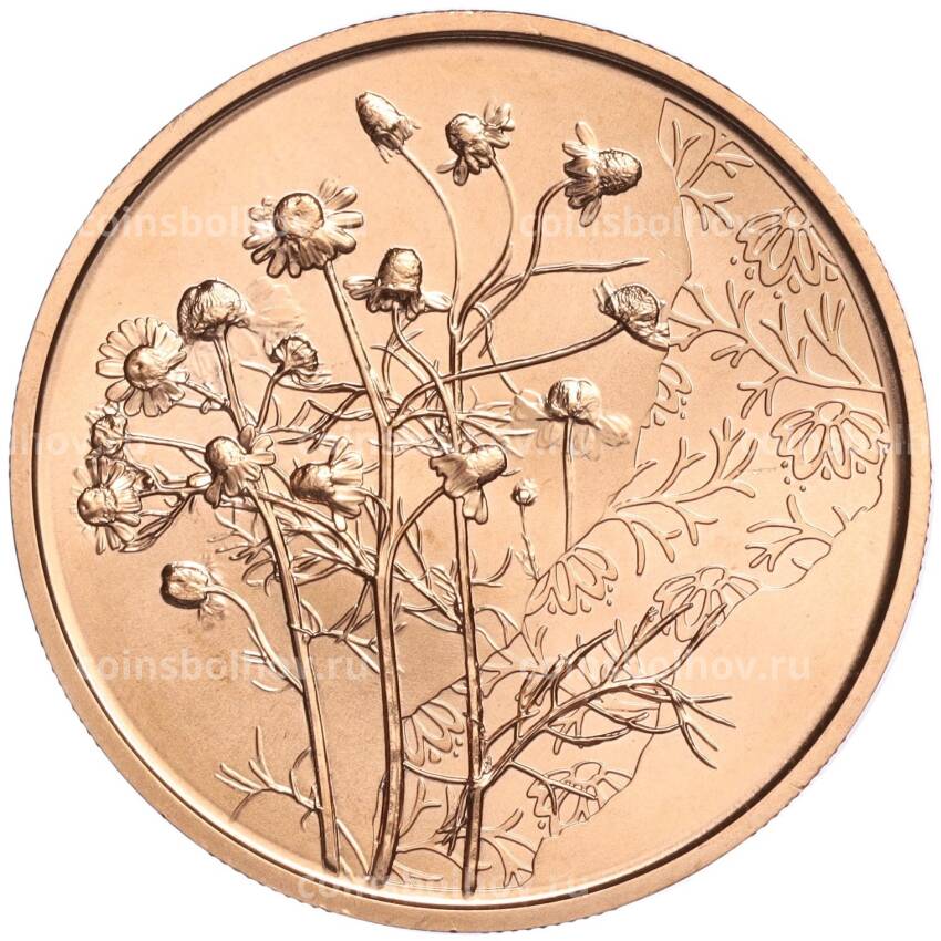 Монета 10 евро 2023 года Австрия «Язык цветов — Ромашка»