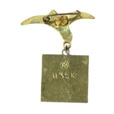 Значок Севастополь (вид 2)