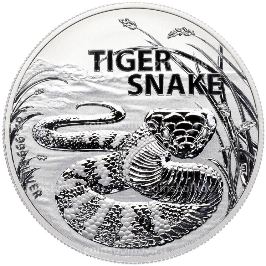 Монета 1 доллар 2024 года Австралия «Самые опасные в Австралии — Тигровая змея»