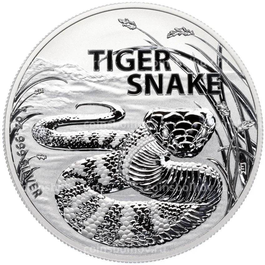 Монета 1 доллар 2024 года Австралия «Самые опасные в Австралии — Тигровая змея»